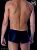 Blue Hawaii Swim shorts
