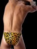 Jungle Fever